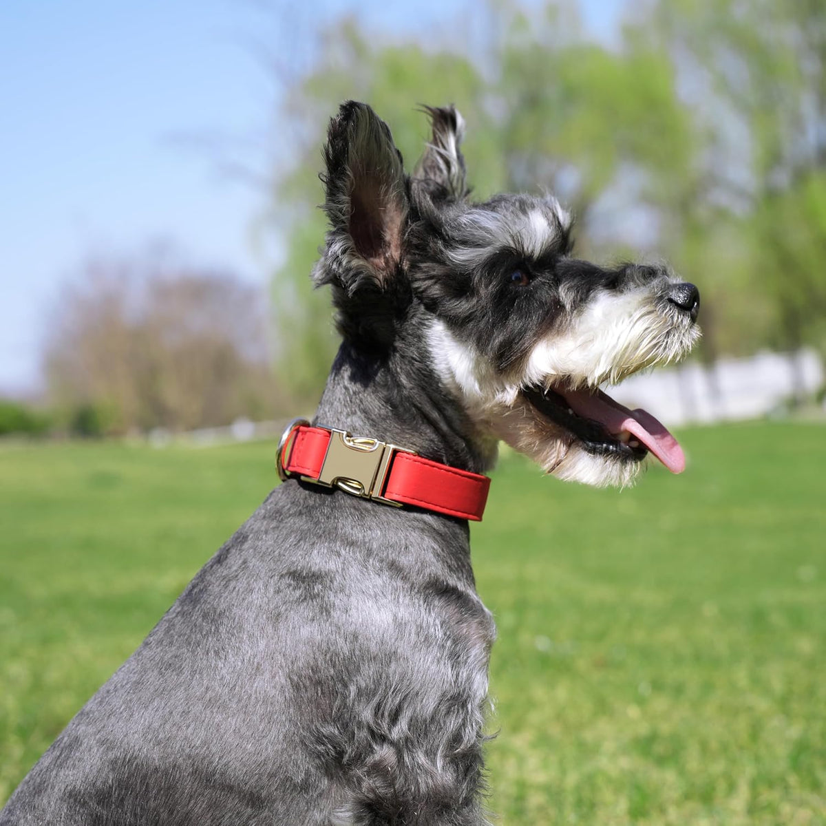 PET ARTIST Soft PU Leather Dog Collar, Bright & Classic Red Dog Collar with Quick Release Rose