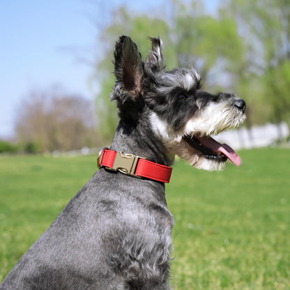 PET ARTIST Soft PU Leather Dog Collar, Bright & Classic Red Dog Collar with Quick Release Rose
