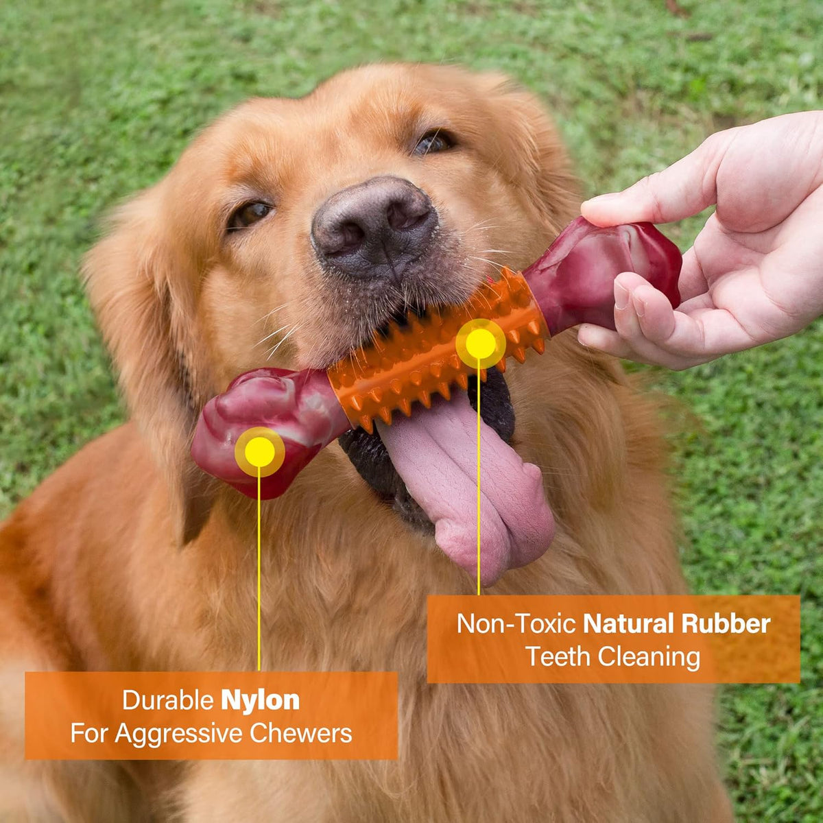 Apasiri Dog Toys for Aggressive Chewers Peanut Butter Flavored, 8" Tough Dog Chew Bone, Nylon &