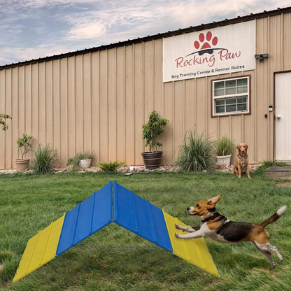 Dogs Agility Course Backyard Set, Dog Agility Equipment, Non-Slip Dog Agility A-Frame, 84” x 24”
