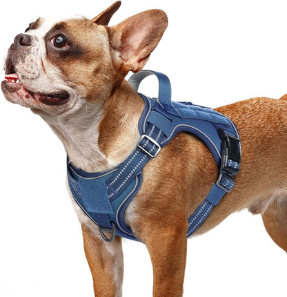 rabbitgoo Dog Harness Small Sized No Pull, Tactical Service Pet Vest with Molle and Control Handle