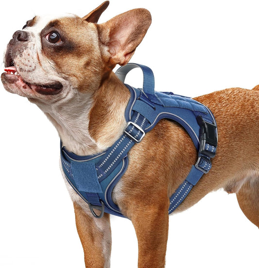 rabbitgoo Dog Harness Small Sized No Pull, Tactical Service Pet Vest with Molle and Control Handle