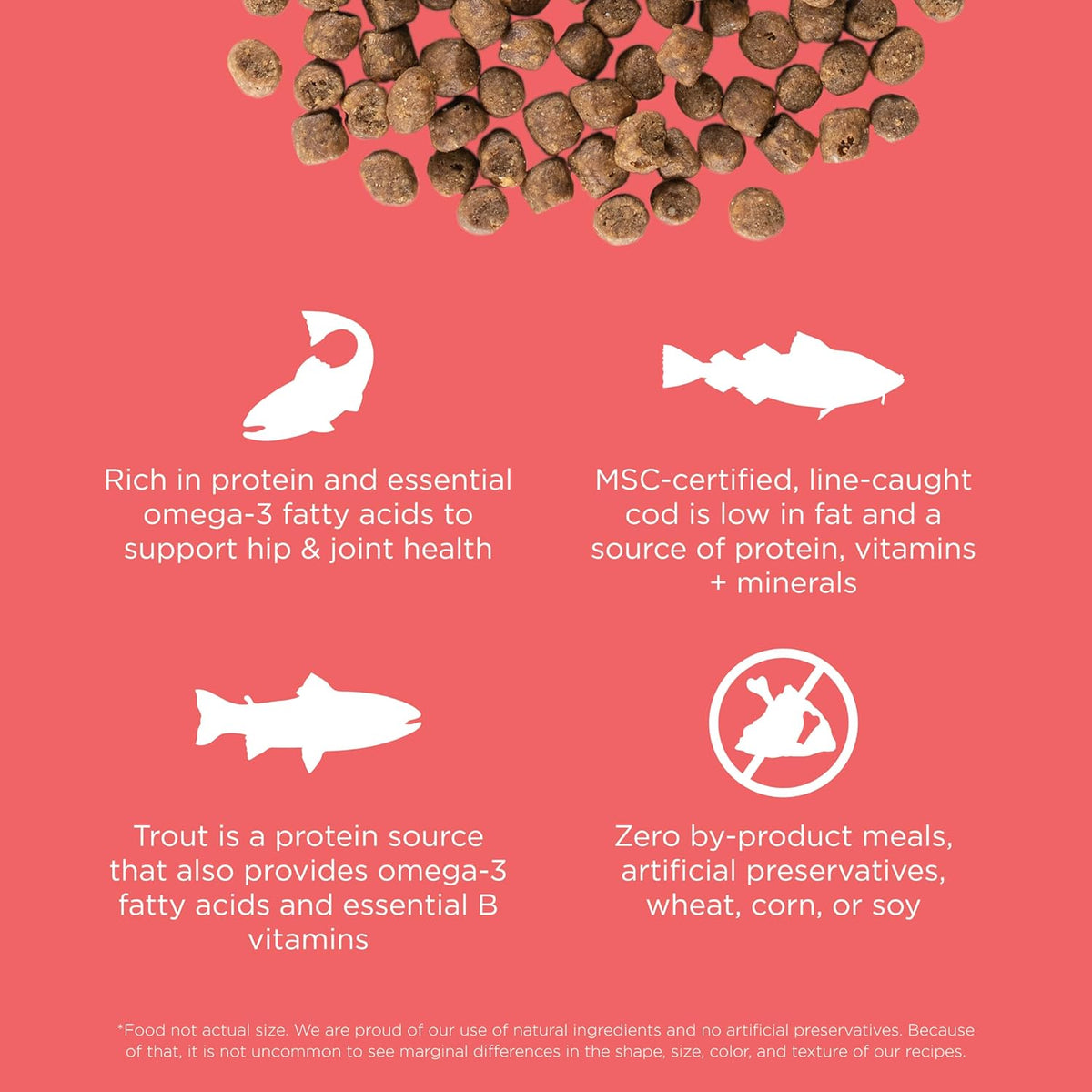 Go! Solutions Carnivore, Grain-Free, Protein Rich Dry Cat Food, Salmon and Cod Recipe, 3 lb Bag
