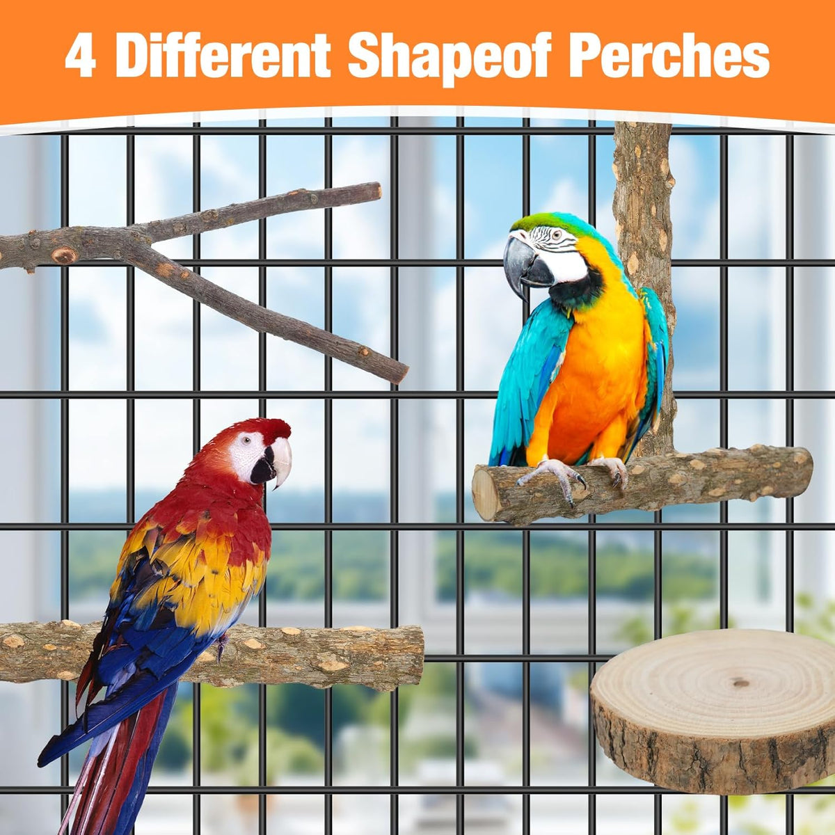 Bird Perch Stand, Pole Standing Natural Wood Bird Perch Set 7PCS Paw Grinding Fork Parrot Cage
