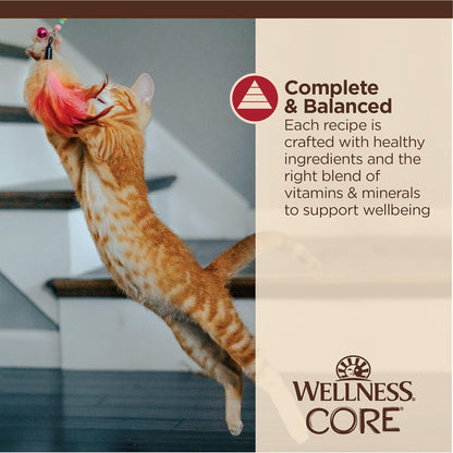 Wellness CORE Tiny Tasters Minced Adult Wet Cat Food, Natural, Protein-Rich, Grain Free, 1.75-Ounce
