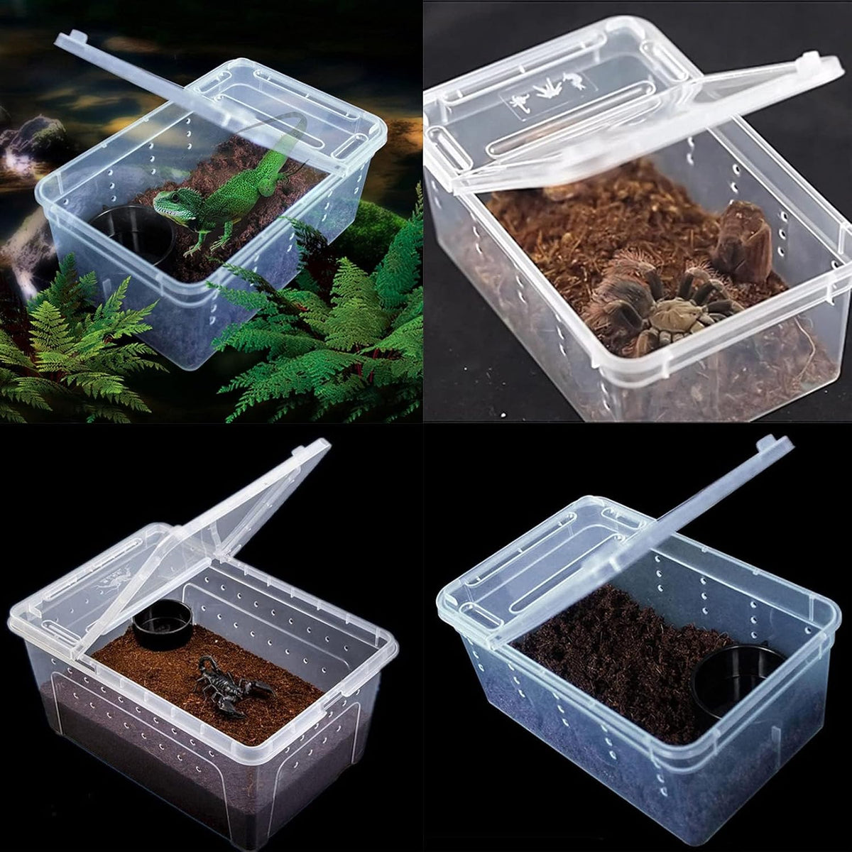 Critter Keeper 2-Pack, Cricket Cage & Reptile Feeding Box 12.59"x8.66"x5.9" Transparent Portable