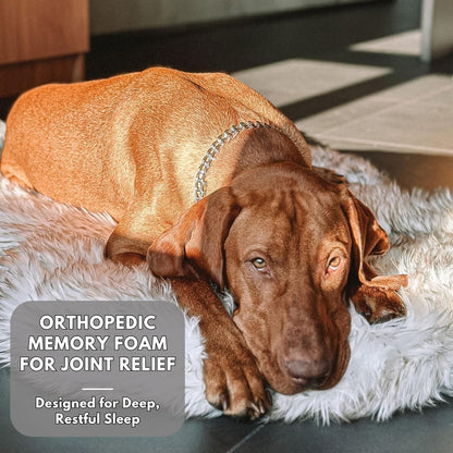 IHAPPYDOG Luxury Faux Fur Orthopedic Dog Bed, Memory Foam Dog Bed for Small, Medium, Large and XL