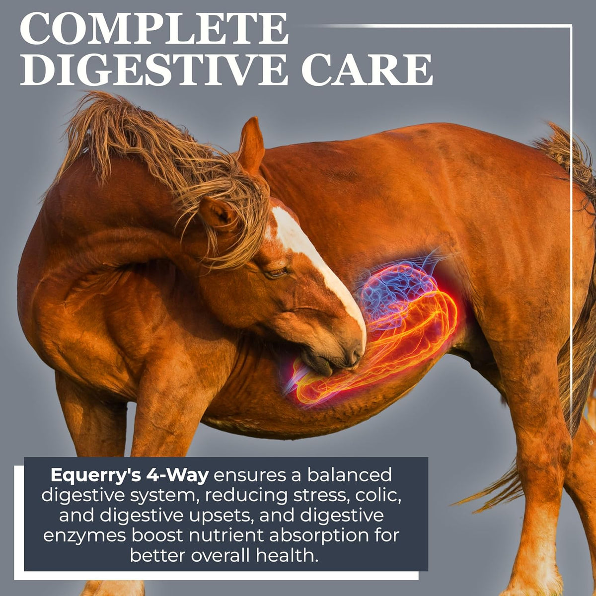 Equerry's Combined RX 4 Way | Equine Nutritional Support | Complete Formula | Digestive and Joint