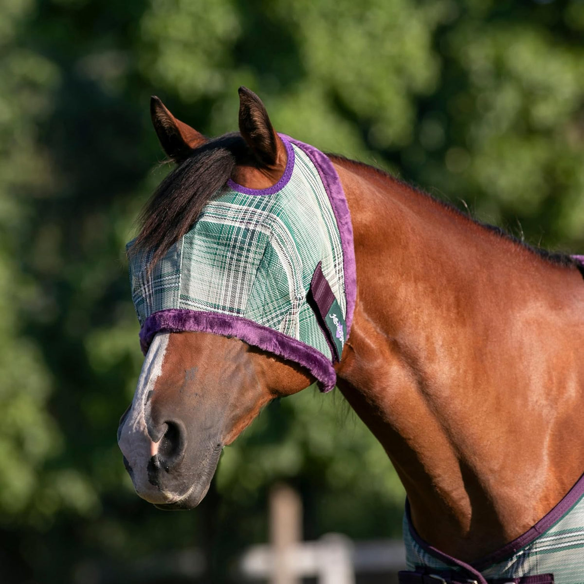 Kensington UV Fly Mask with Fleece Trim - Protective Mask with Dual Ear Opening Size: Small Color: