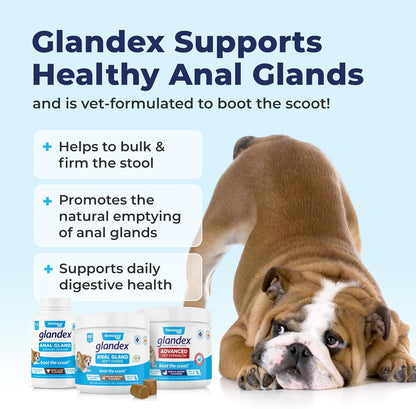Vetnique Labs Glandex Anal Gland Soft Chew Treats with Pumpkin for Dogs Digestive Enzymes