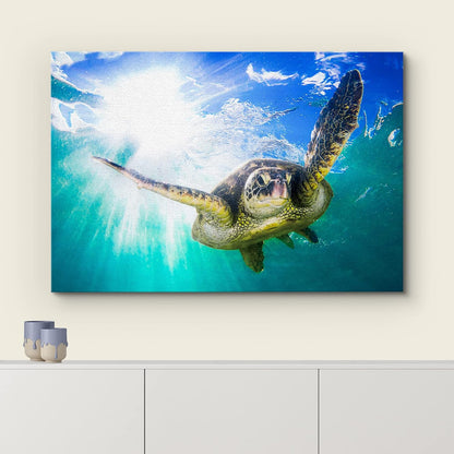 wall26 Canvas Print Wall Art Sunlight Tropical Ocean Underwater Turtle Nature Animals Photography