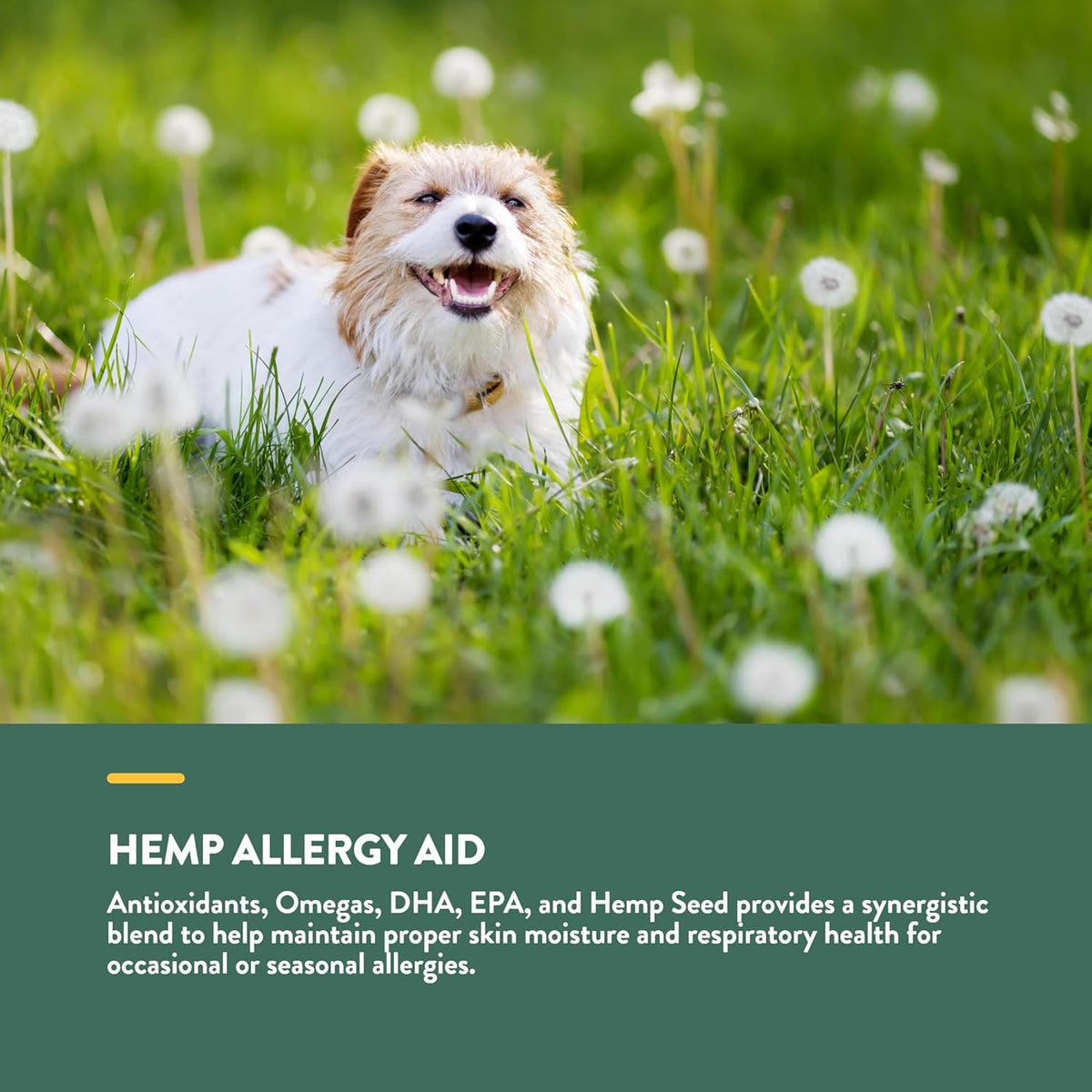 NaturVet Hemp Allergy Aid Supplement for Dogs, Hemp Seed, Antioxidants, Omegas, Dha & Epa for
