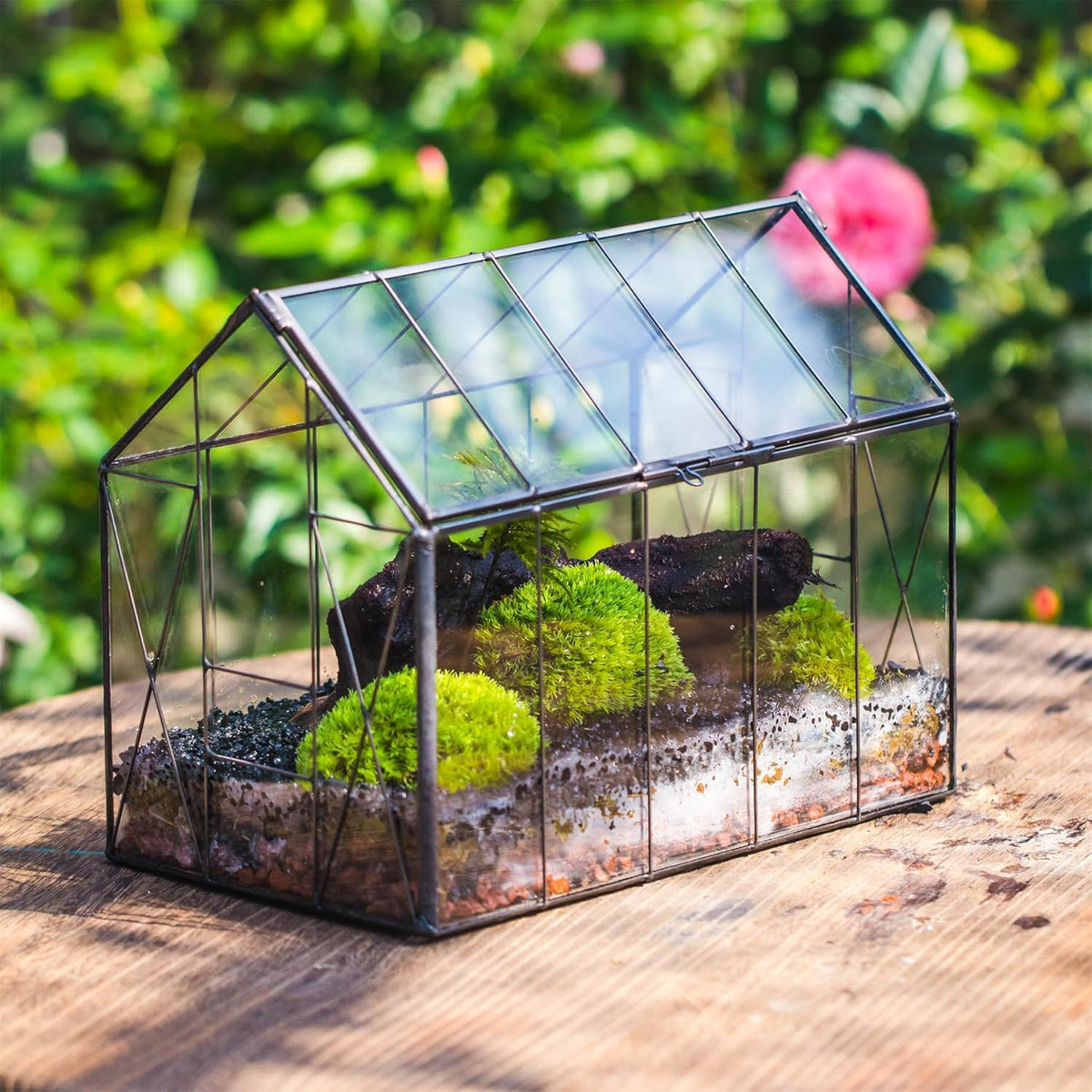 NCYP Geometric Glass Terrarium with Lid for Succulent, Small Cactus - Handmade Clear Closed House