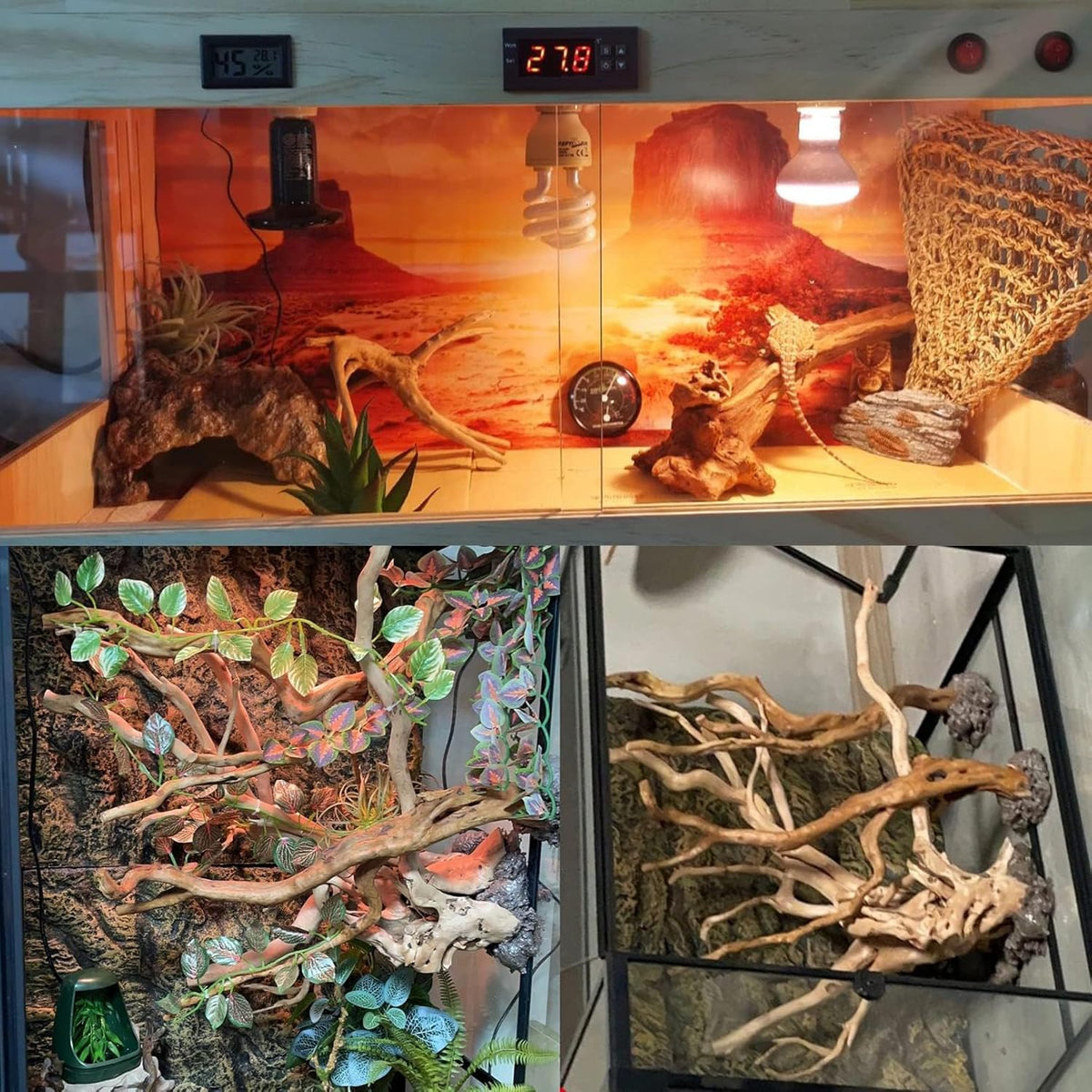 BNOSDM 2PCS Reptile Wood Branches Decor Lizard Habitat Decoration Snake Climbing Branch Accessories