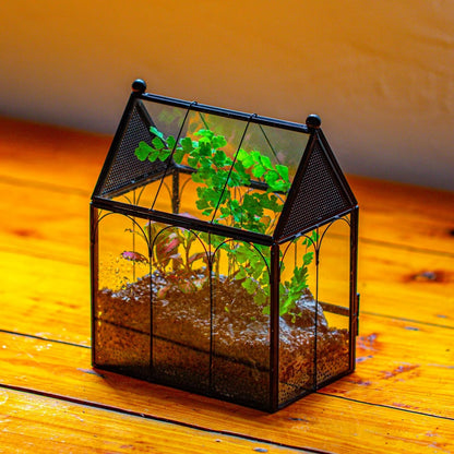 NCYP Small Glass Spider Enclosure with Mesh for Jumping Spiders, Snails, Micro House Shaped Front