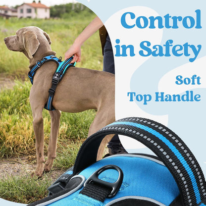 rabbitgoo Dog Harness Small Sized, No Pull Pet Harness with 3 Buckles, Adjustable Soft Padded Vest