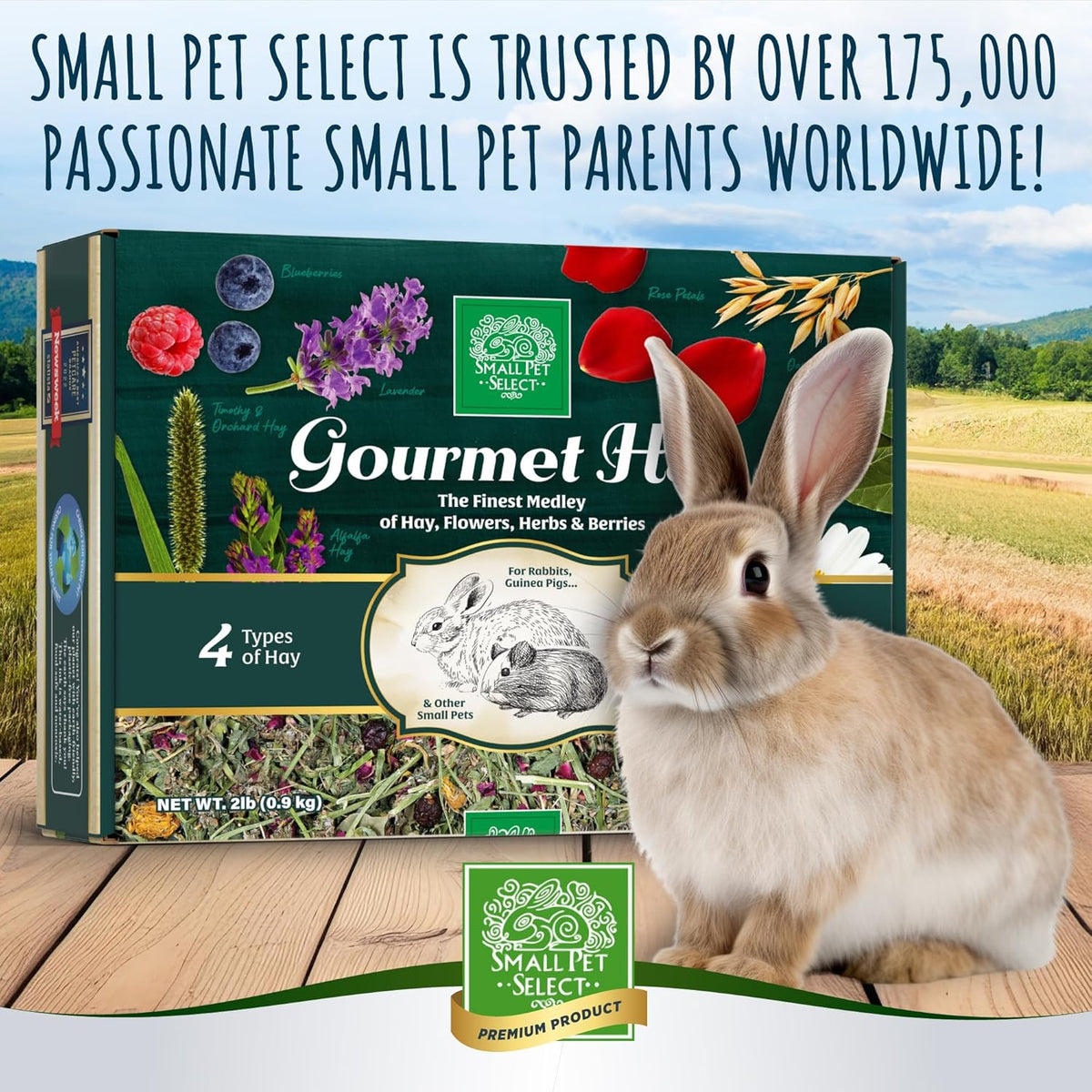Small Pet Select - Gourmet Hay Pet Food, Exclusive Treat Hay, Flowers, and Herb Blend, for Rabbits