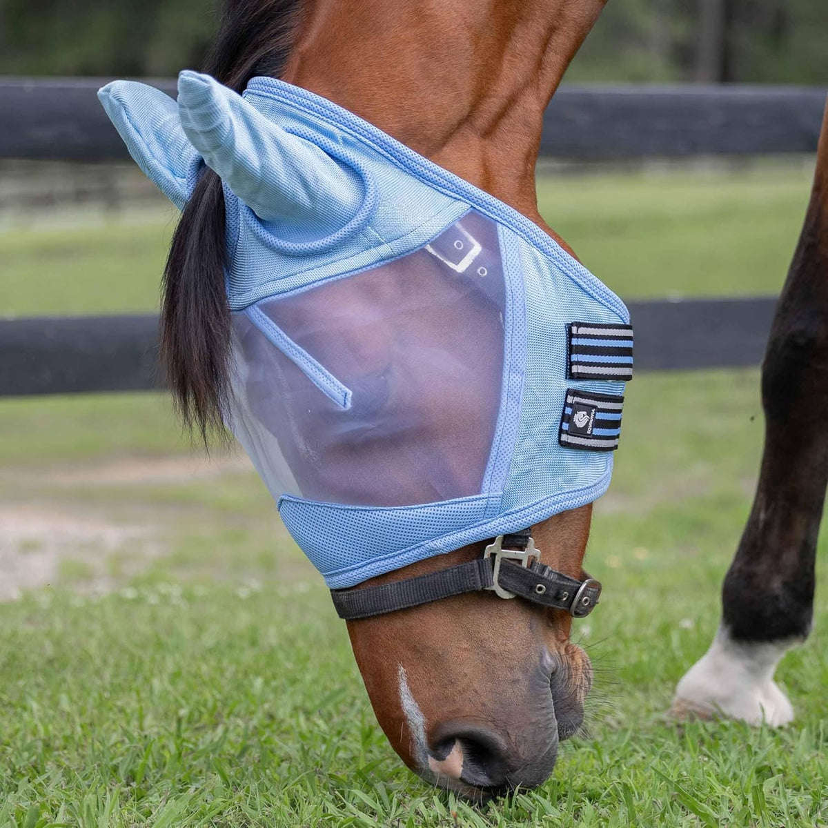 Equinavia Algard Soft Mesh Horse Fly Mask with Ear Protection and 45 UPF Rating | No Eye Irritation