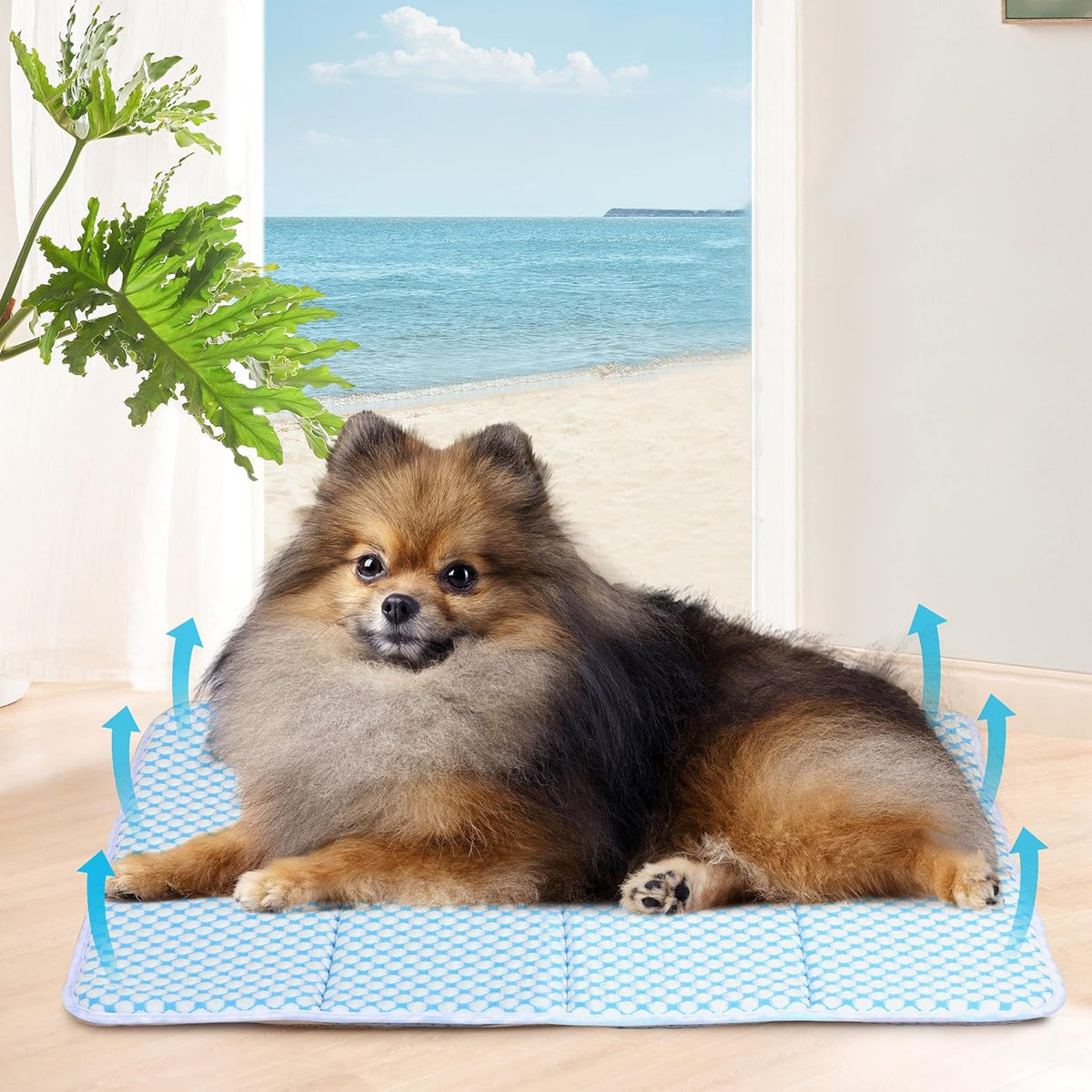 Dog Cooling Mat for Small Dogs - 24x18 Orthopedic Memory Foam Pet Pad for Summer, QMAX>0.5