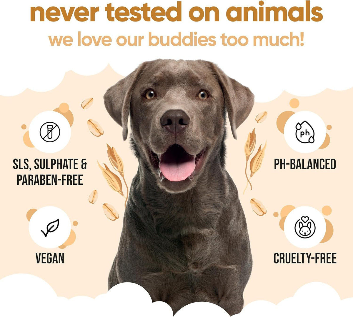 Oatmeal Dog Shampoo for Smelly Dogs (33.8oz) - Hypoallergenic & Itch Relief Formula, Gentle on