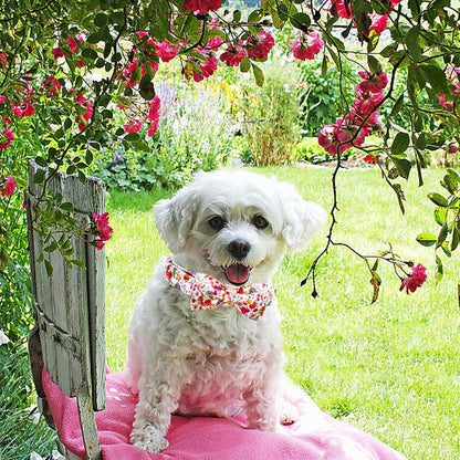 Elegant little tail Dog Collar, Pink Rose Print Pet Collar Summer Dog Collar Durable Metal Buckle