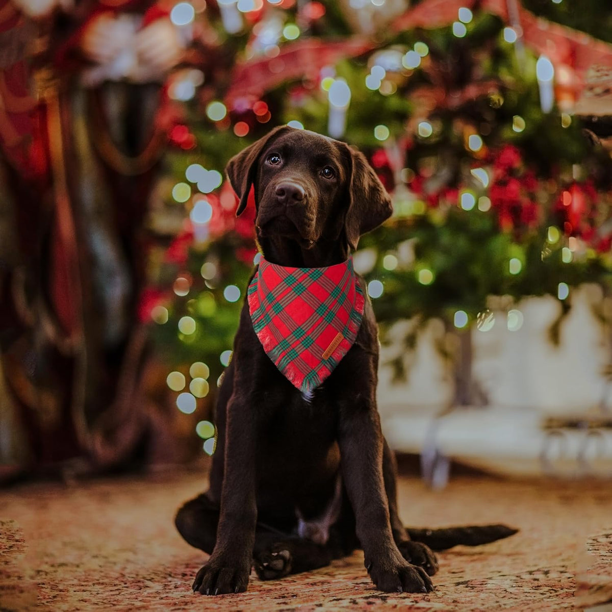 ADOGGYGO Christmas Dog Bandanas with Tassels, Red Green Plaid Pet Xmas Scarf Bib, Multiple Sizes
