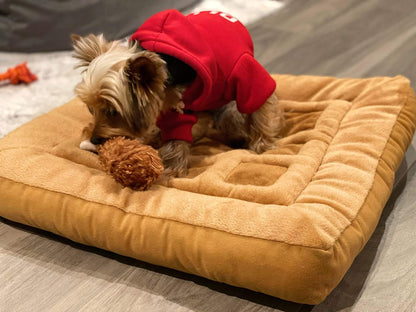 TONBO Soft Plush Small Cute and Cozy Chicken and Waffles Dog Cat Bed, Chicken Crinkle Toy Included