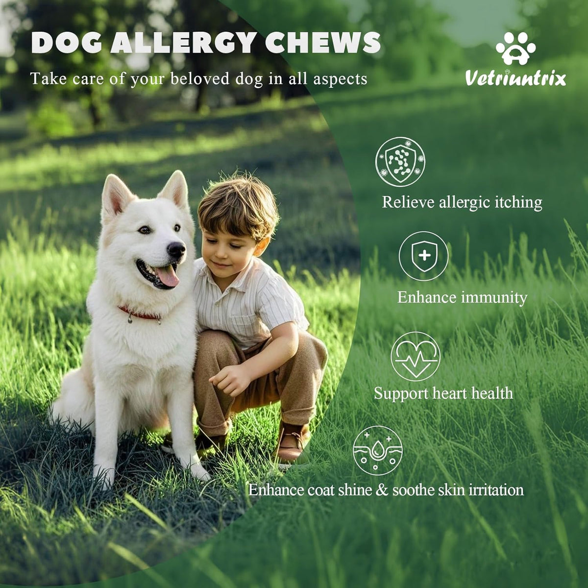 Dog Allergy Chews, Dogs Allergy Relief Chews for Paw Licking Itchy Skin Coat Supplement, Probiotics