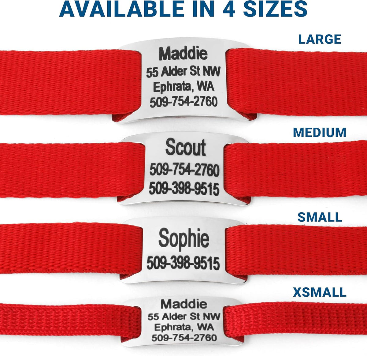 GoTags Personalized Dog Collar with Nameplate, Adjustable Dog Collar with Custom Engraved Slide On