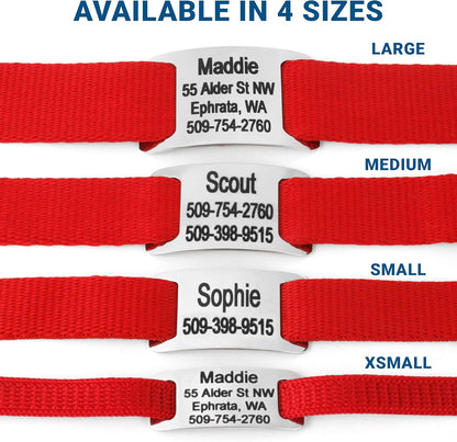 GoTags Personalized Dog Collar with Nameplate, Adjustable Dog Collar with Custom Engraved Slide On