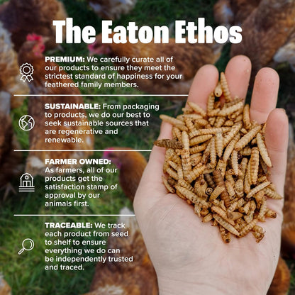 Eaton Pet and Pasture Premium Grubs, USA Grown Dried Black Soldier Fly Larvae, High Calcium Treat