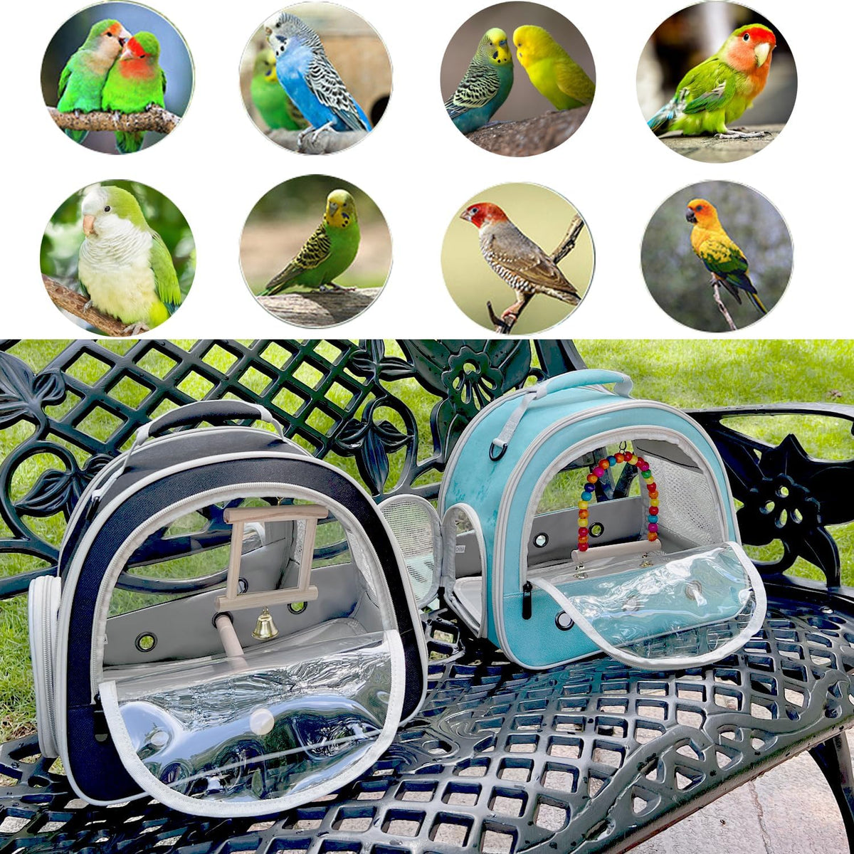 Portable Parrot Travel Cage Carrier with Small Swing Toy&Cage Colorful Toys Set Small Bird Parakeet