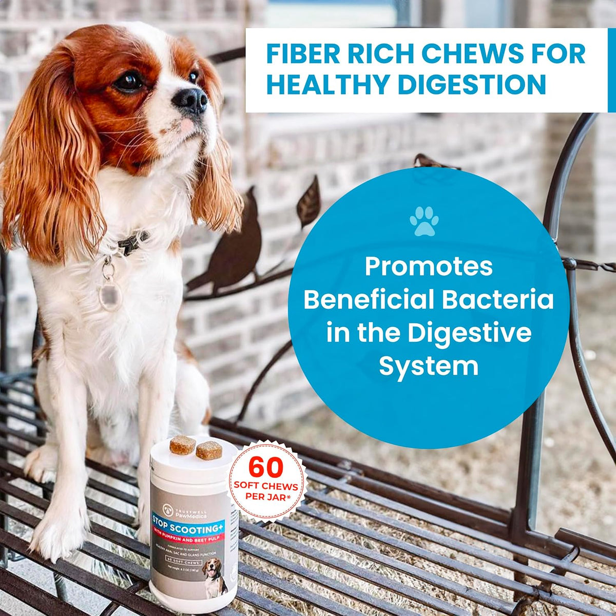 PawMedica Dog Anal Gland Chews to Stop Scoot for Dogs - Anal Gland Dog Constipation Relief