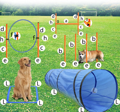 Dog Agility Training Equipment, Obstacle Agility Training Starter Kit for Doggie, Including Tunnel