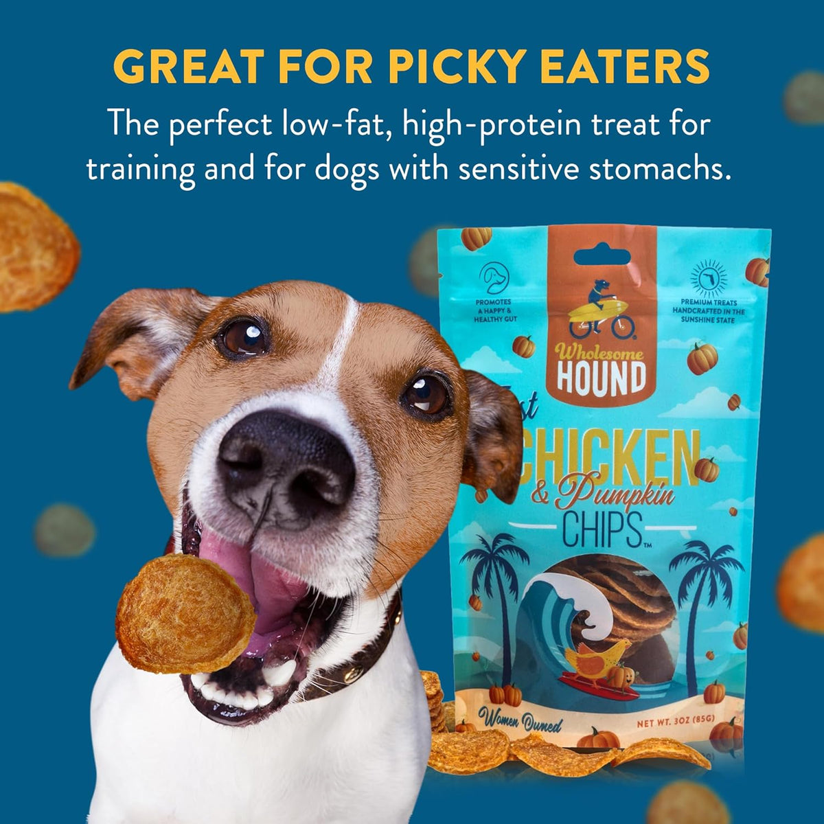 Chicken & Pumpkin Chips – Single Ingredient Dog Treats, All Natural & Healthy Training Snacks for