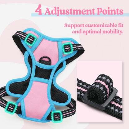 rabbitgoo Dog Harness No Pull with 2 Leash Clips, Adjustable Soft Padded, Reflective Oxford No