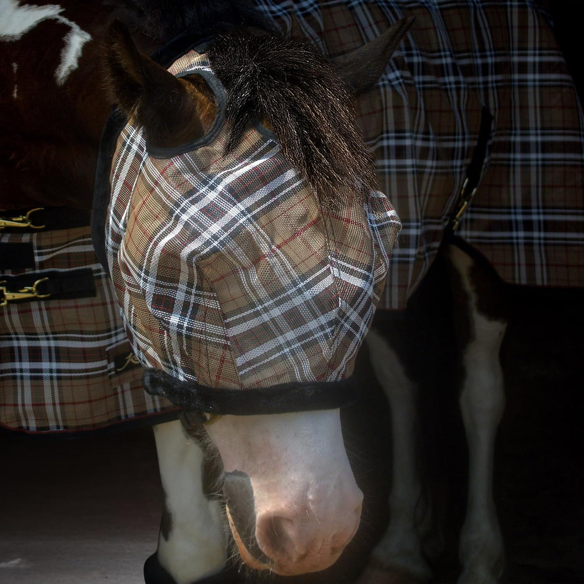 Kensington UV Fly Mask with Fleece Trim - Protective Mask with Dual Ear Opening Size: XXL Color: