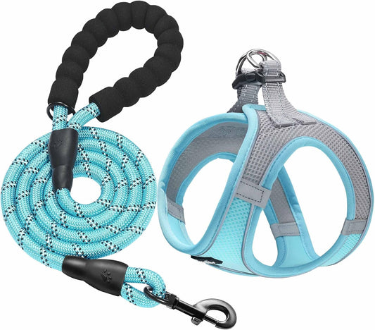 haapaw Dog Harness with Leash Set, No Pull Adjustable Reflective Step-in Puppy Harness with