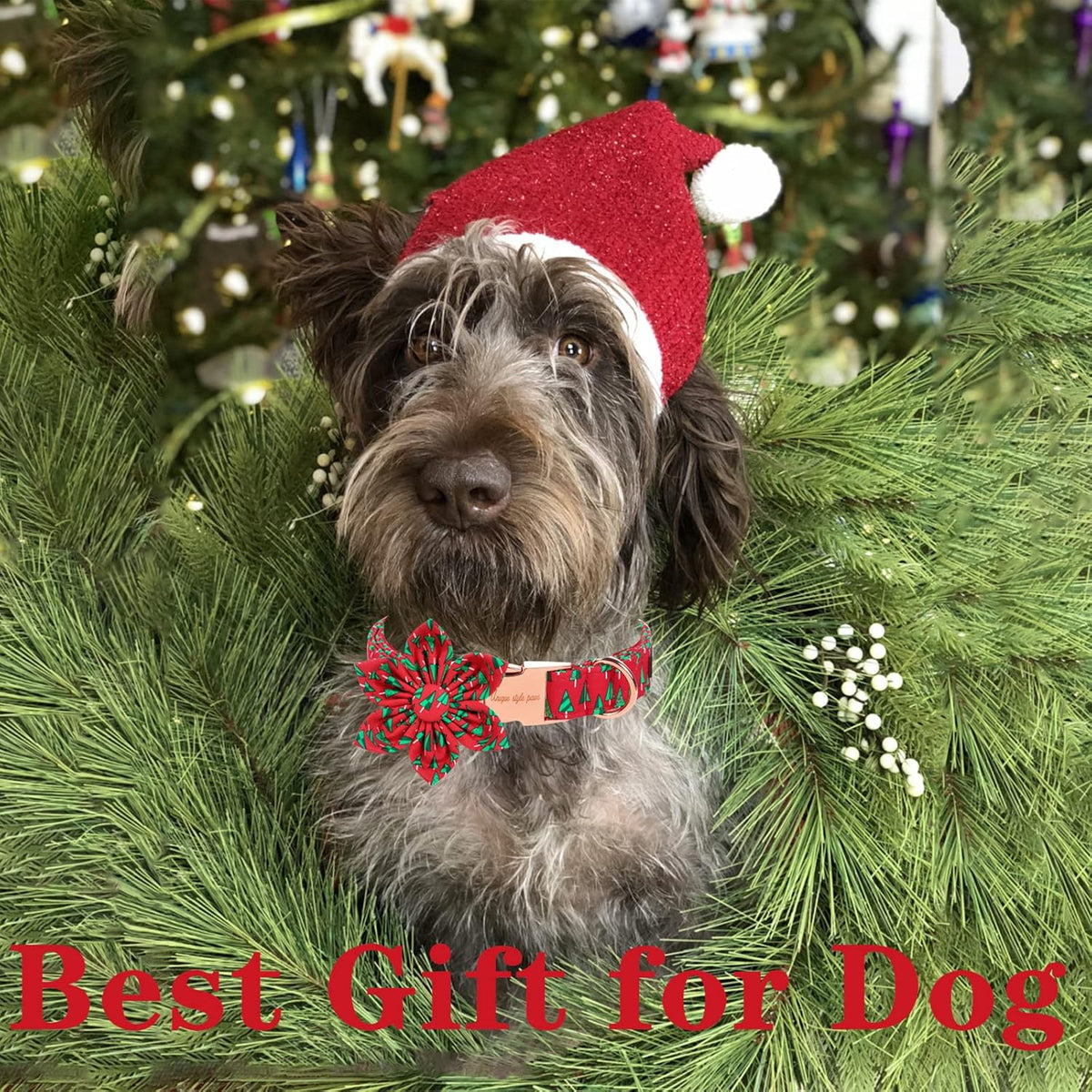 Unique style paws Christmas Dog Collar with Flower Best Winter for Small Medium Large Dogs