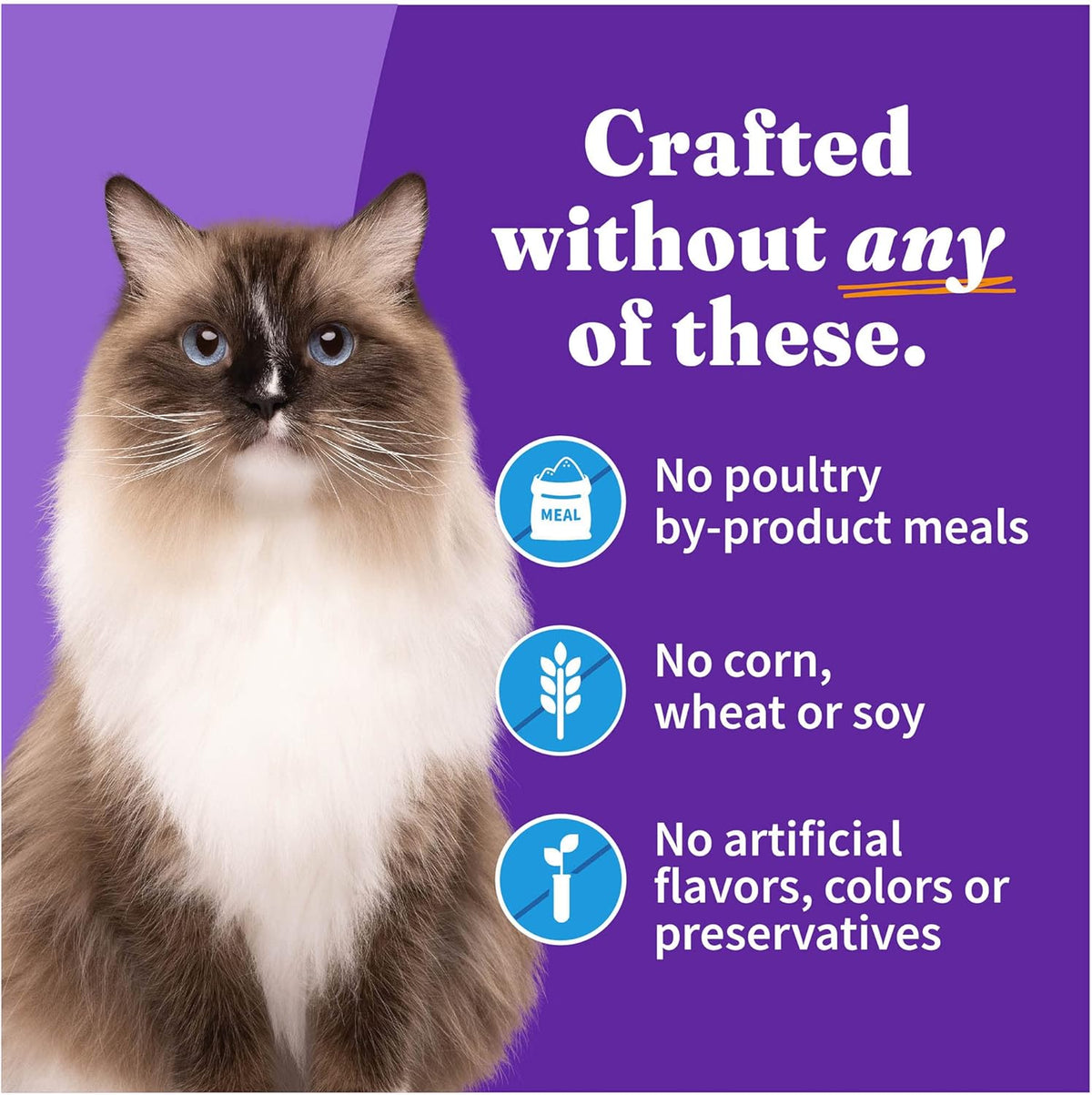 Halo Wet Cat Food Whitefish Recipe, Grain Free Wet Cat Pate, Canned Cat Food for Extra Hydration