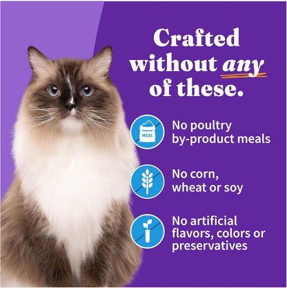 Halo Wet Cat Food Whitefish Recipe, Grain Free Wet Cat Pate, Canned Cat Food for Extra Hydration