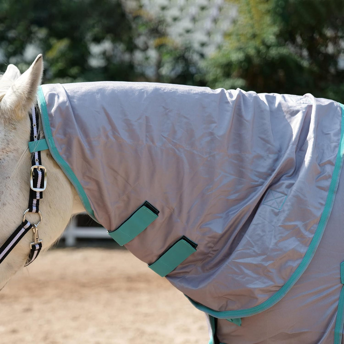 Horse Fly Sheet with Detachable Neck Cover & Belly Wrap, Adjustable Fly Sheet for Horses