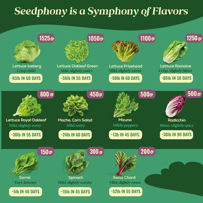 23 Lettuce & Salad Greens Seeds Variety Pack - 25,000+ Non-GMO Heirloom Greens Seeds for Planting