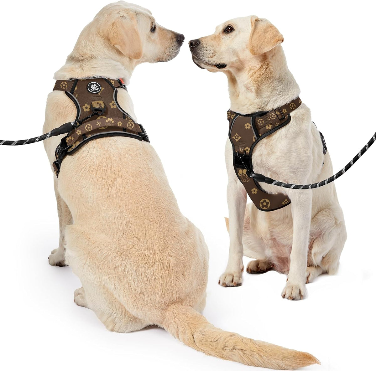 NESTROAD No Pull Dog Harness,Adjustable Oxford Dog Vest Harness with Leash,Reflective No-Choke Pet