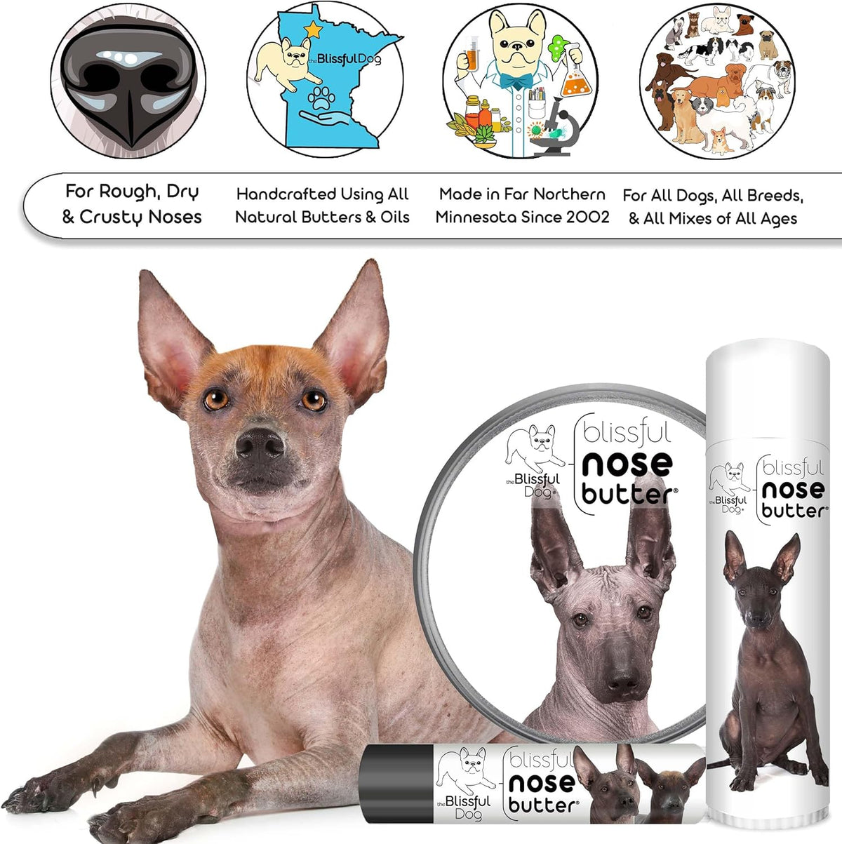 The Blissful Dog Xoloitzcuintli Nose Butter for Dry, Cracked Skin, Lick-Safe Dog Nose Balm with