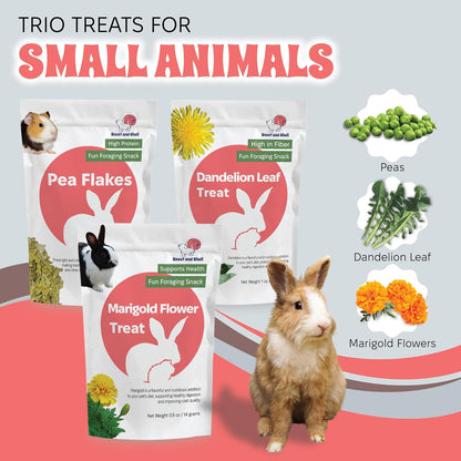 Snout and Shell Small Animal Treats – Pea Flakes, Dandelion Leaf (1oz), Marigold Flowers (0.5oz)