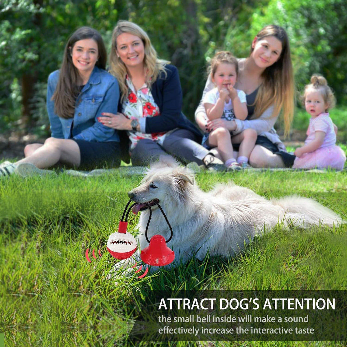 Dog Toys, Dog Chew Toys for Aggressive chewers,Rope with Suction Cup for Puppy Training Treats