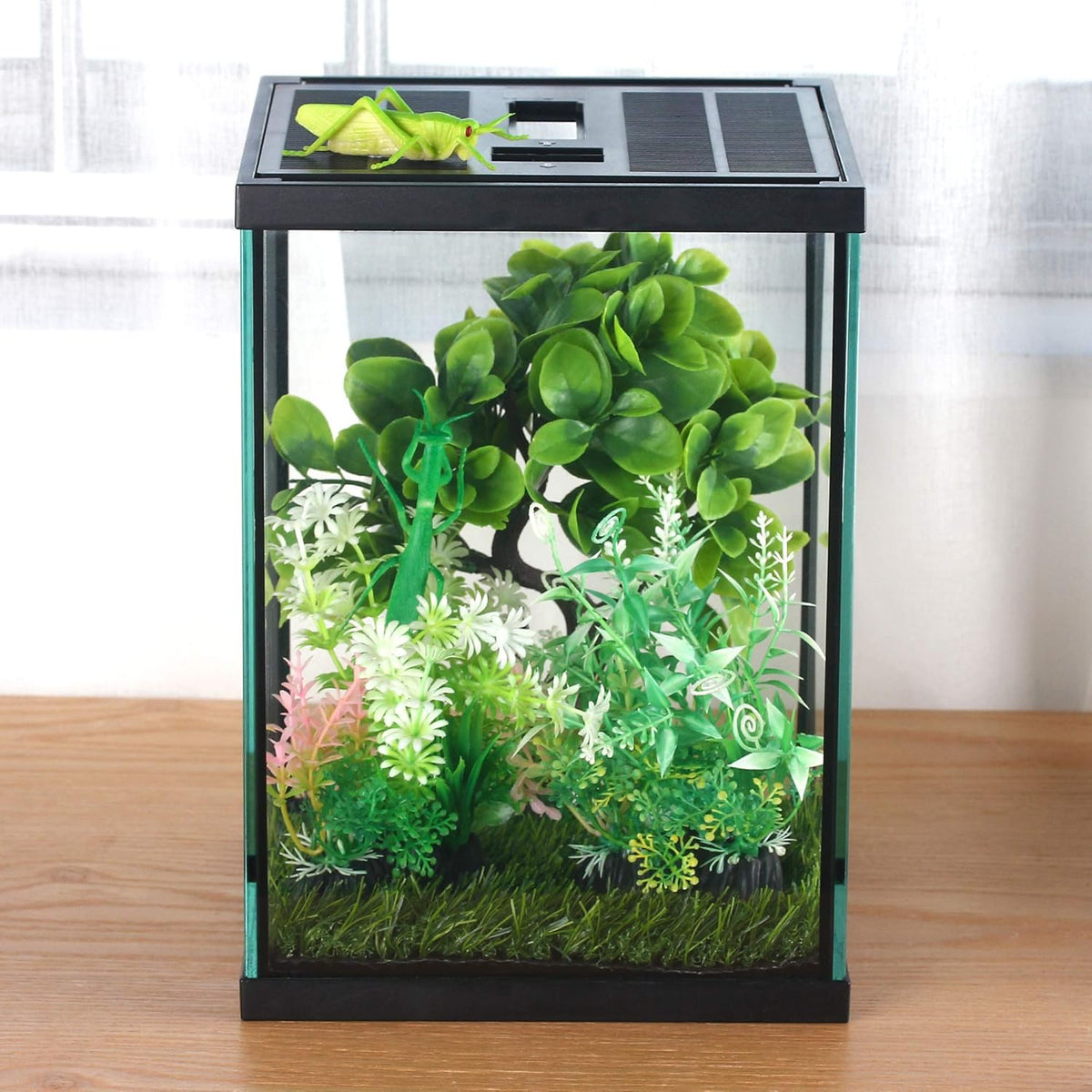 crapelles Black Small Vertical Insect GlassTerrarium, 7.8x7.8x10.8'' Reptile Tank, for Tarantula