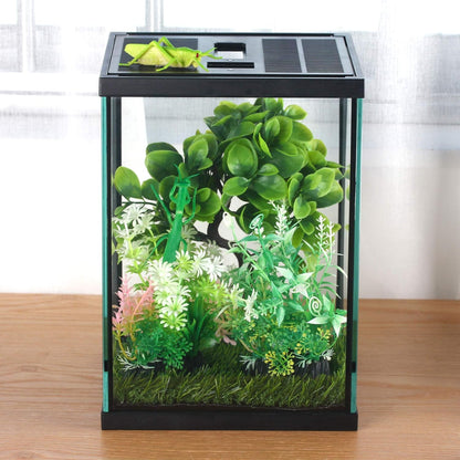 crapelles Black Small Vertical Insect GlassTerrarium, 7.8x7.8x10.8'' Reptile Tank, for Tarantula