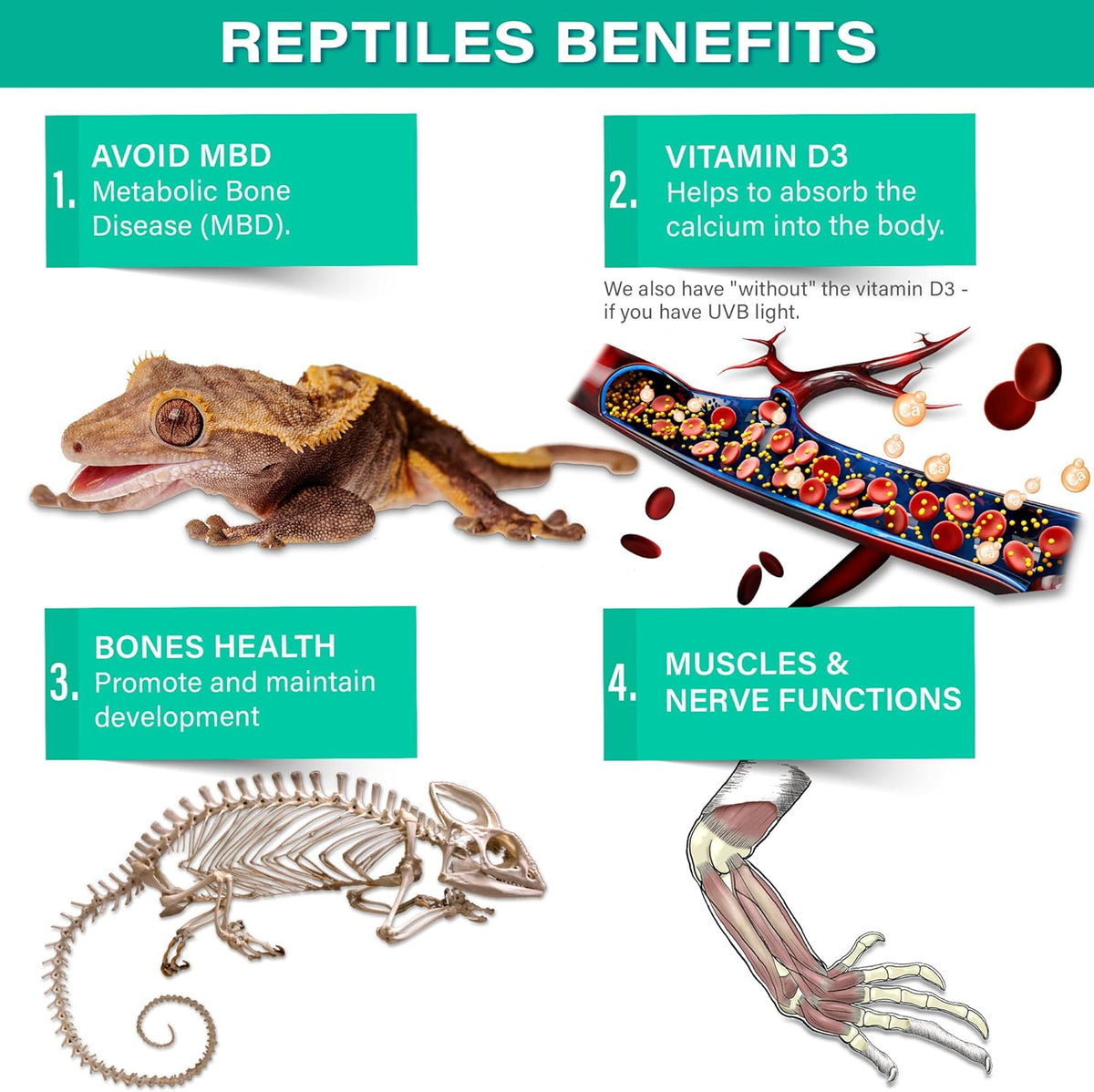 4oz All Reptile Calcium with Vitamin D3, Phosphorus-Free, Ultrafine Powder. Pure dust, Real Fruits